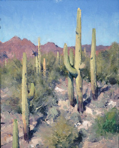 Tips for Painting Cactus in the Tucson Area - OutdoorPainter