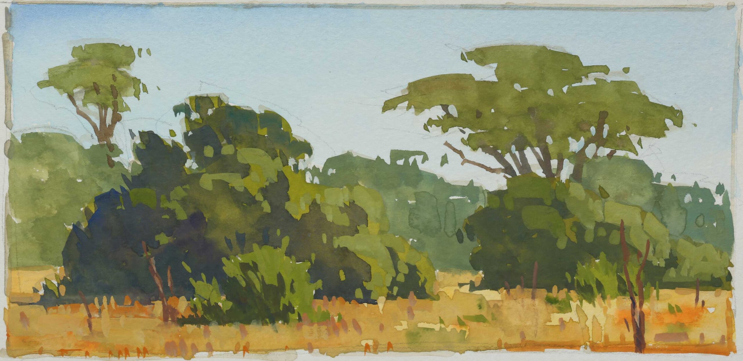 Painting With Gouache, 6 Tips for Success
