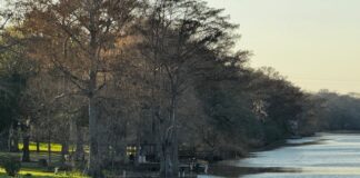 One Day in Bayou Country
