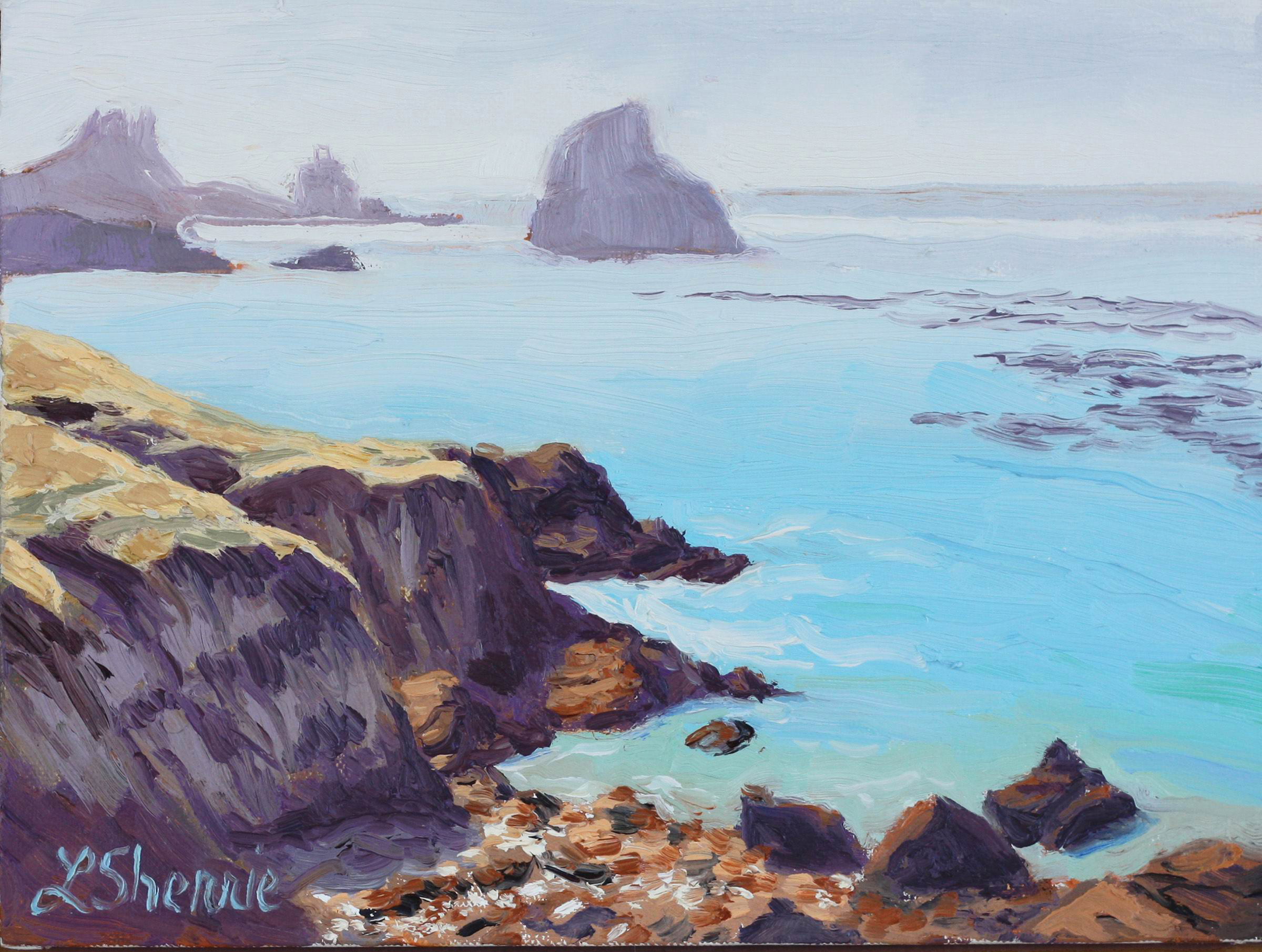 Laurel Sherrie, "Point Buchon, Green Stone Beach," 2019, oil, 6 x 8 in., collection the artist, plein air