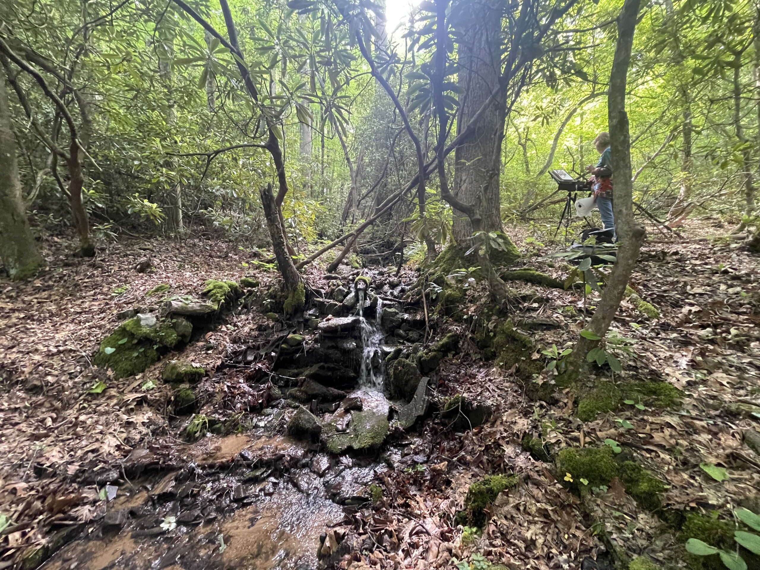 Above & below: From the PACE Paint Out at the Oconaluftee Indian Village