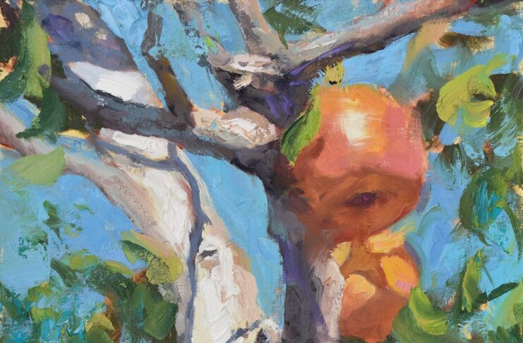 PleinAir Magazine&#039;s 14th Annual PleinAir Salon Art Competition June 2024 Best Still Life Robin Casper Orchard Apples Still Life